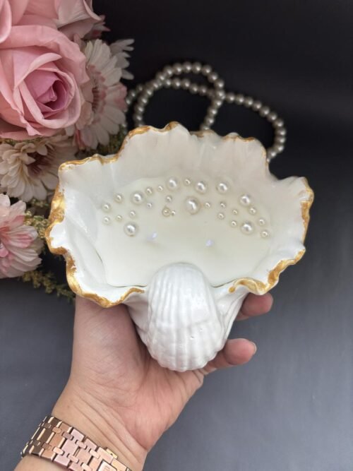 Wide Shell Candle